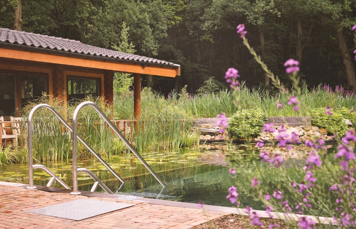 De natuurlijke zwemvijver van Thermen Soesterberg.