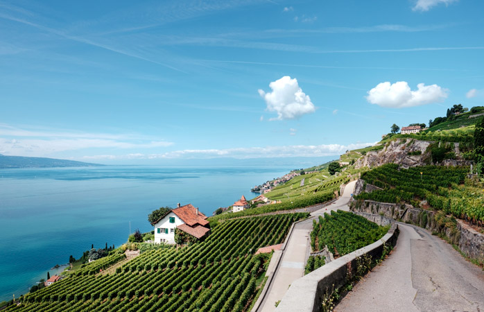 Slechts 20 minuten met de trein vanaf Lausanne: stap uit bij de prachtige wijngaarden