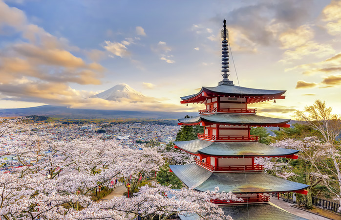 In april staan in Japan de kersenbomen in bloei en is het land prachtig roze gekleurd! 