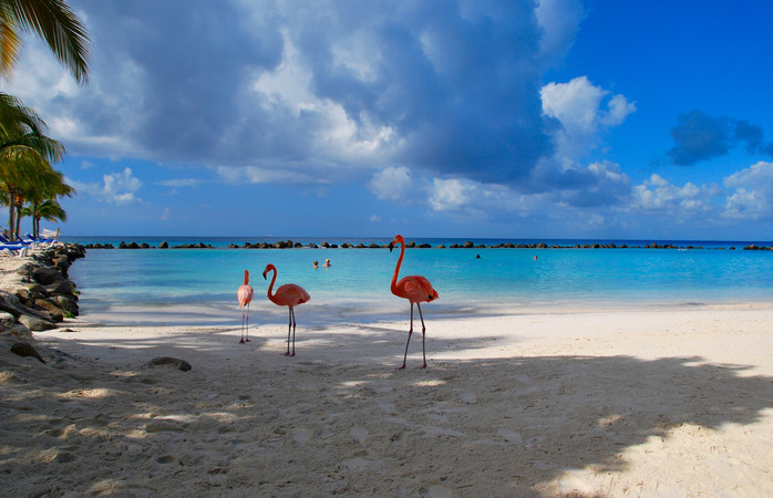 Boek een reis naar het tropische Aruba; een zonzekere bestemming waar je even helemaal kunt ontsnappen aan de kerst en afsluiting van het jaar. 