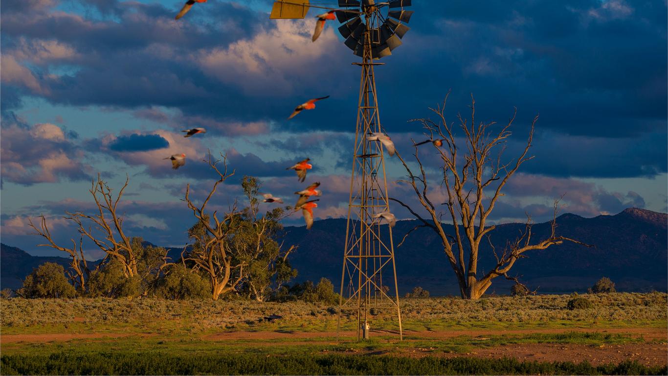 Flights to Zuid-Australië