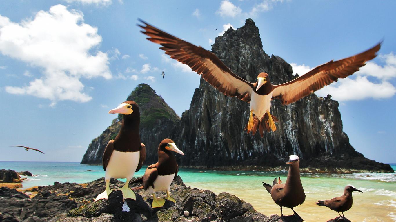 Flights to Fernando de Noronha