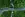 preload