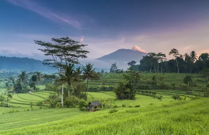 Spectacular morning view of terrace paddy fields in Bali, Indonesia, with the volcano Agung in the backdrop.