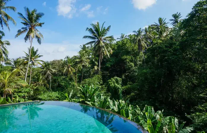 Beautiful pool with junge views in Ubud, Bali