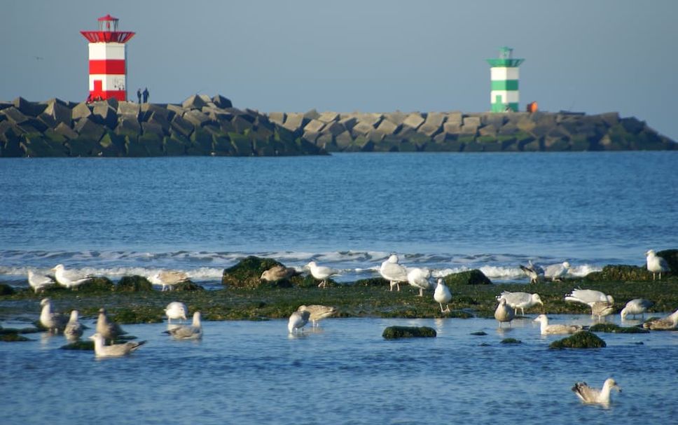 Andere Foto's