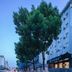 Gebouw