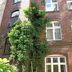 Gebouw